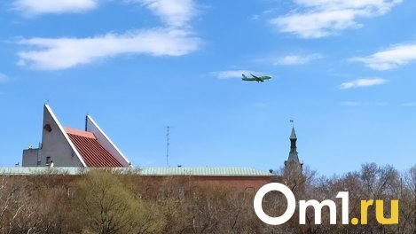 В Омск прилетит Путин. Но не тот