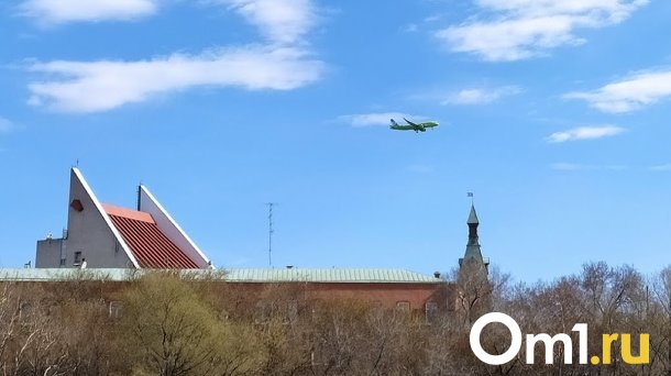 В Омск прилетит Путин. Но не тот