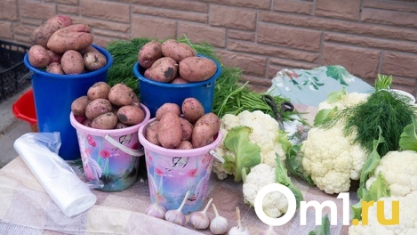 Молоко, мясо, яйца: в Омске откроются ярмарки выходного дня для фермеров
