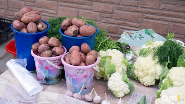 Молоко, мясо, яйца: в Омске откроются ярмарки выходного дня для фермеров