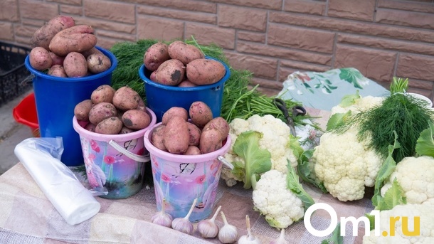 Молоко, мясо, яйца: в Омске откроются ярмарки выходного дня для фермеров