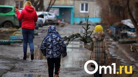 В Омске ожидаются похолодание и дожди на этой неделе