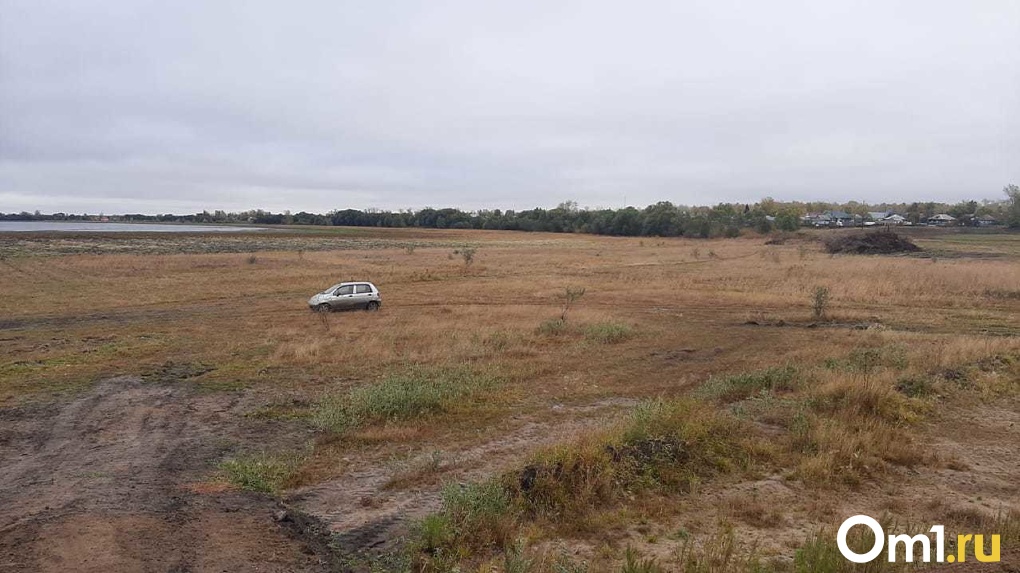 Грязь и заросли камыша: куда ушли миллионы, выделенные на чистку озера Половинное в Новосибирской области