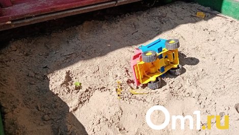 Во Владивостоке с детской площадки украли двухлетнего ребёнка из Омска