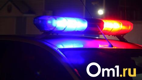 В Омске женщина сбила на переходе 11-летнюю девочку