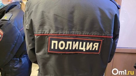 В Новосибирске на преследователя 61-летней женщины возбудили уголовное дело