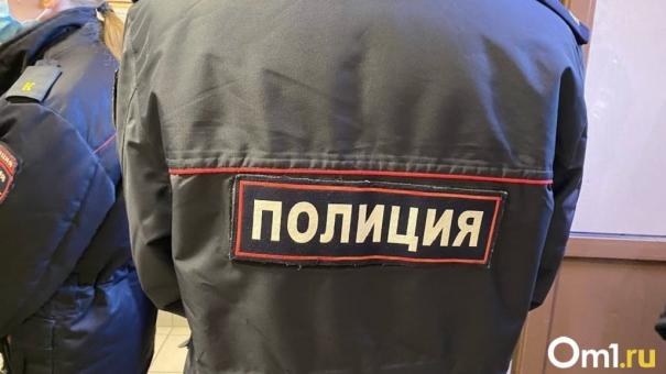В Новосибирске на преследователя 61-летней женщины возбудили уголовное дело
