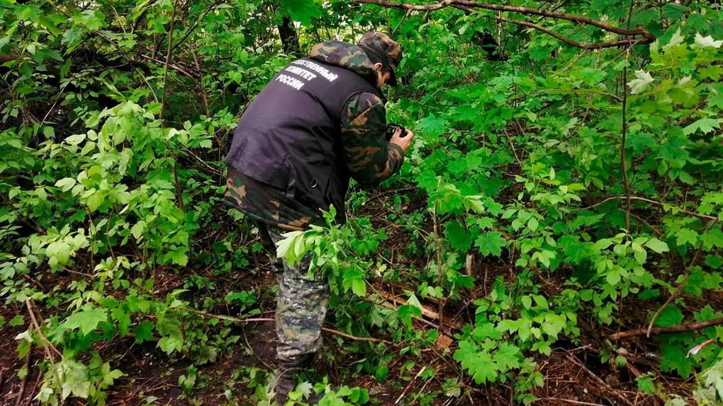 Труп пролежал два года: разложившееся женское тело нашли в Новосибирской области
