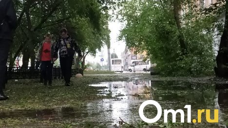 Омичей предупреждают о возможной второй волне крупного града