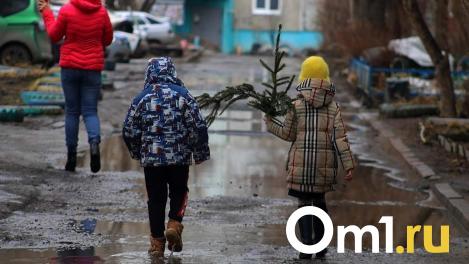 Омскую область на следующей неделе накроет мощный снегопад