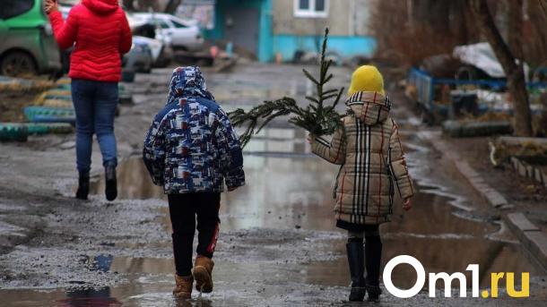 Омскую область на следующей неделе накроет мощный снегопад