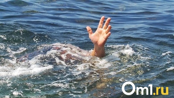 Уже не дышал: две сестры спасли жизнь тонущему 8-летнему мальчику в Новосибирске