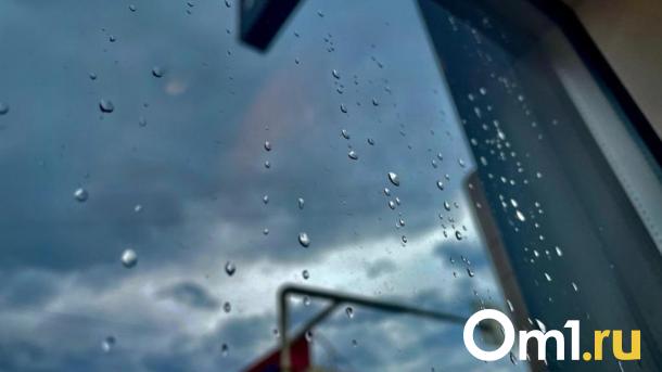 Из-за июльского дождя в популярной омской пиццерии не могут сделать ремонт