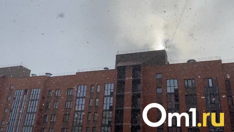 Когда наступит весна? В Новосибирске снова пошёл снег 17 апреля. ВИДЕО