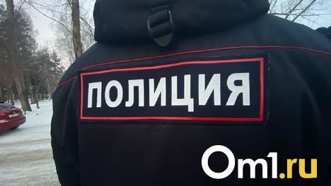 Нападение на полицейского в Омской области произошло в присутствии детей