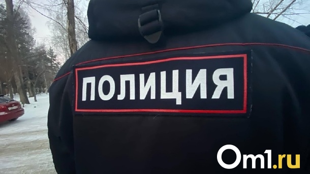 Нападение на полицейского в Омской области произошло в присутствии детей