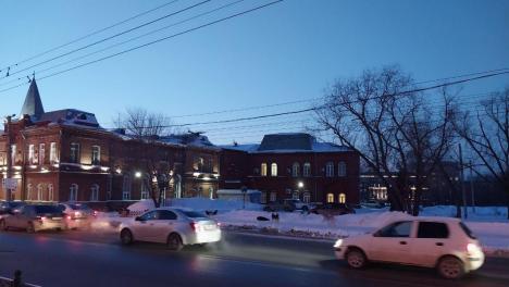 Дикие псы охотятся на косуль уже в центре Омска