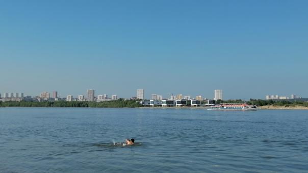 Гадюку и двух ужей поймал подросток на берегу Оби в Новосибирске. ФОТО