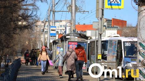 В Омске частный перевозчик отказался от обслуживания двух популярных маршрутов