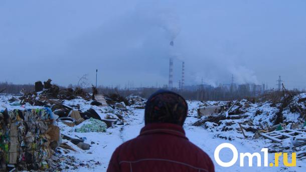 Перевод омских ТЭЦ на газ займёт минимум 4 года