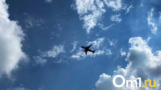 Аэропорт «Омск-Фёдоровка» планируют построить к 2028 году