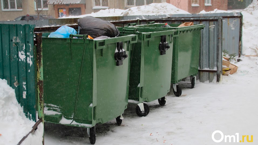 Жителям Новосибирской области в декабре снизят тариф на вывоз мусора