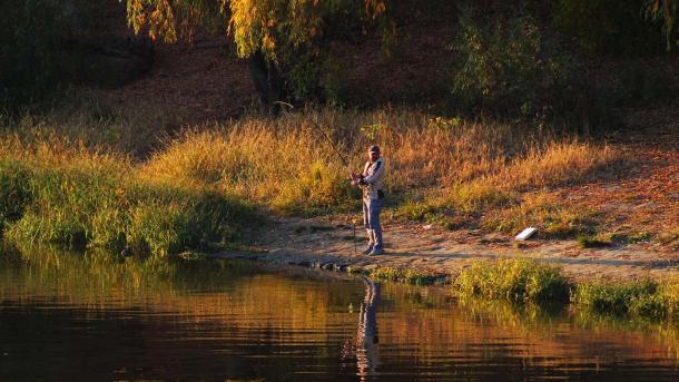 Нерест рыбы в Омске оказался под угрозой из-за резких температурных скачков