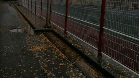 Синоптики обещают заморозки до -2 градусов в Новосибирской области