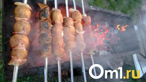 В Ленинском округе Омска нашли шашлычную с крупными нарушениями санитарных норм