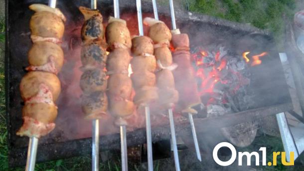 В Ленинском округе Омска нашли шашлычную с крупными нарушениями санитарных норм