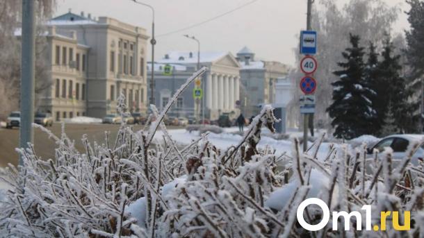 Опубликован прогноз погоды на выходные в Омске