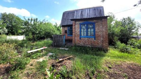 Домик с электричеством и плодовые деревья: омичи продают дачу в 6 соток за 330 миллионов рублей