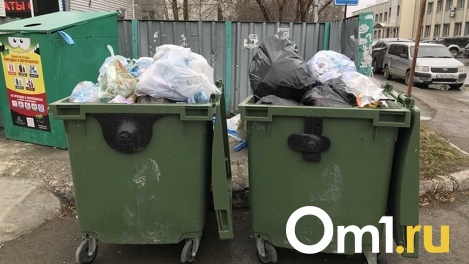 Новосибирские водители мусоровозов назвали причины забастовки