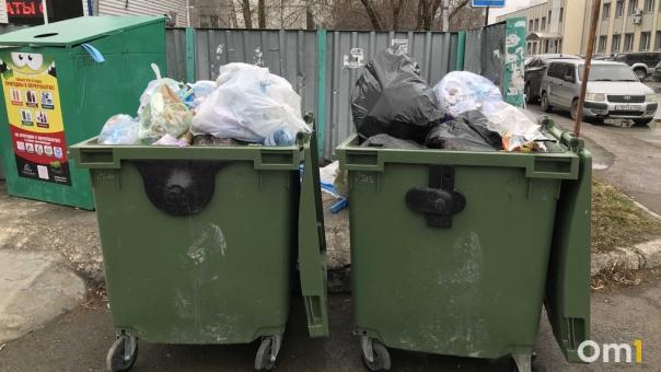 Новосибирские водители мусоровозов назвали причины забастовки