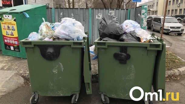 Новосибирские водители мусоровозов назвали причины забастовки