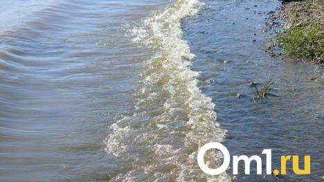 В Омске ищут подрядчика, который за миллион будет следить за состоянием гидроузла