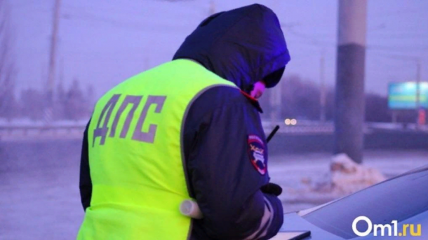 Молодой омич проведёт два года в тюрьме за попытку избить гаишника