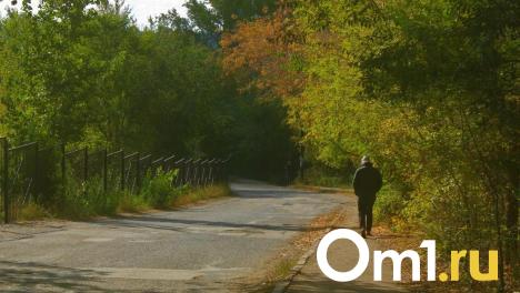 Омичам рассказали, как отличить осеннюю хандру от депрессии