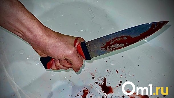В Омской области мужчина с ножом напал на полицейских