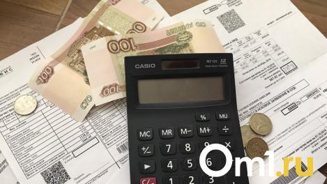 В Омске в 2024 году повысится плата за электроэнергию