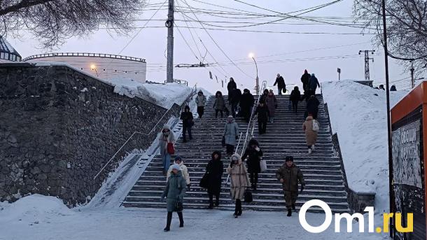 В Новосибирске ледяные метели будут бушевать до конца недели