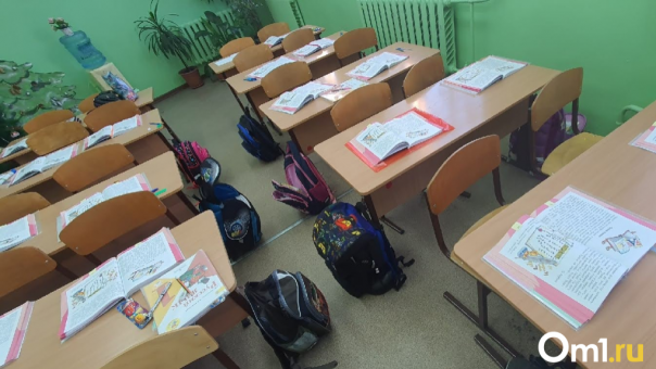 Забастовщики жаловались на преподавателя? Светлана Манина рассказала подробности конфликта в гимназии №10