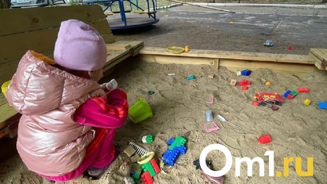 В омских детских садах могут установить камеры видеонаблюдения