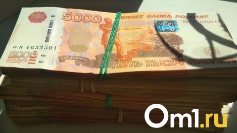 Уголовное дело о мошенничестве на 30 млн рублей возбуждено в отношении «Экологии-Новосибирск»