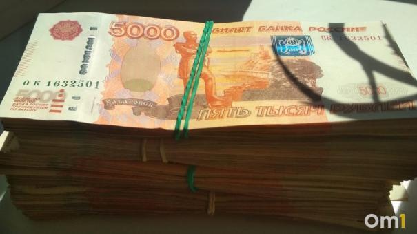 Уголовное дело о мошенничестве на 30 млн рублей возбуждено в отношении «Экологии-Новосибирск»