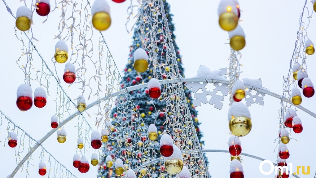 Новогоднюю ёлку начали устанавливать в Центральном парке Новосибирска
