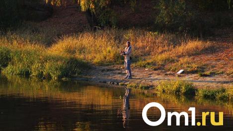 Сразу девять кило. Омичи достают из Иртыша огромных хищников