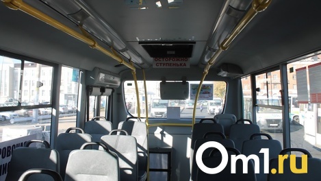 Омичка отсудила 400 000 рублей у перевозчика, в маршрутке которого упала