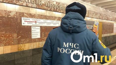 Число пожаров в Новосибирской области сократилось на 40 % в 2024 году