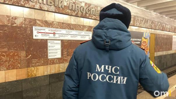 Число пожаров в Новосибирской области сократилось на 40 % в 2024 году